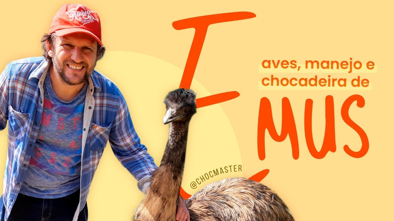 Qual Alimentação Do Emu?