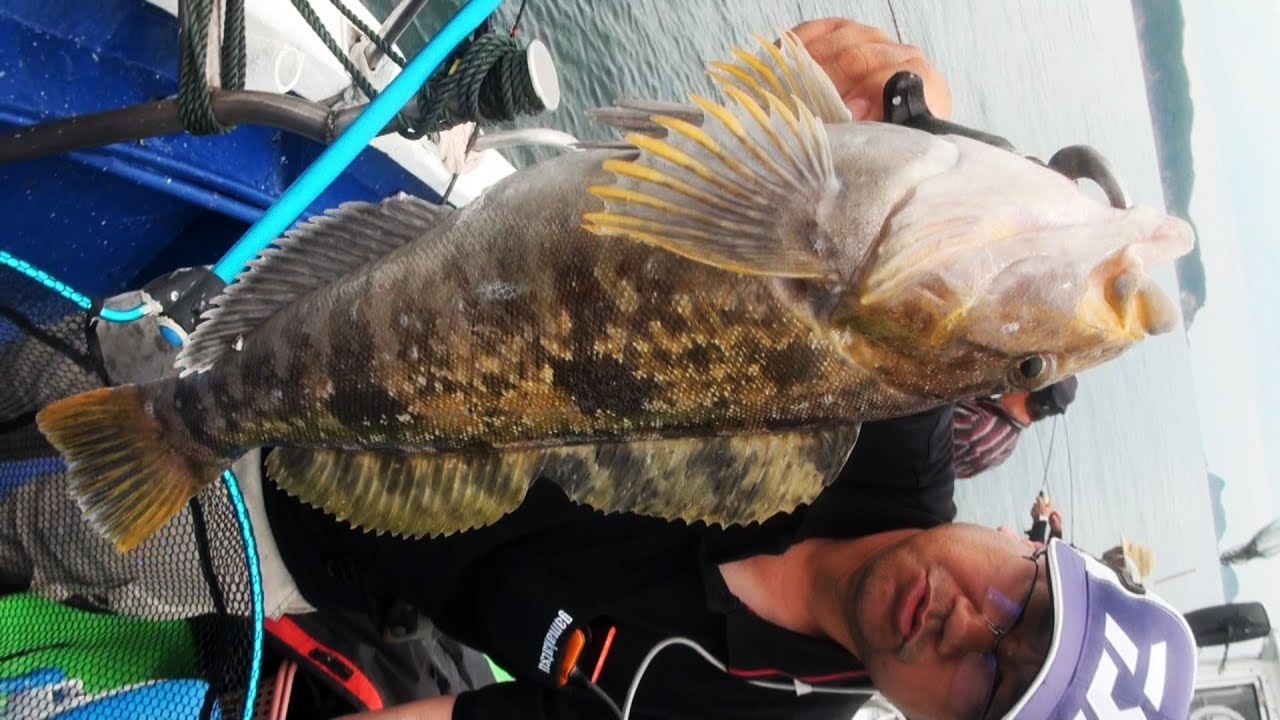 友遊丸で行く女川イワシ五目！