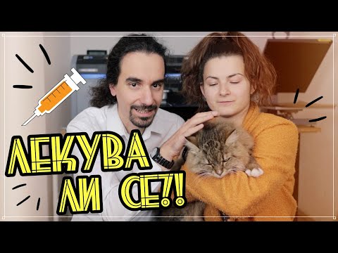 Видео: Cat Rapper Moshow споделя своите чувства, вдъхновени от котката [Video]