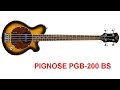 PIGNOSE PGB-200 BS