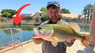 Fishing the MAGIC Backyard Pond for Monster Fish! (Unexpected Catch)