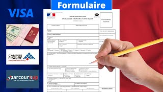 Comment remplir le formulaire de demande de visa ?Comment faire une demande  de visa ? France Visa - YouTube
