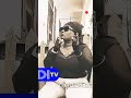 Eyindi affaire koffi et wazekwa