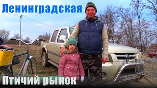 Птичий рынок. Ленинградская. [11.12.2022]