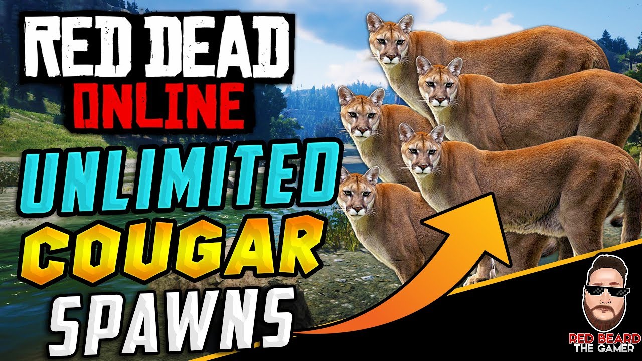 Gøre husarbejde operatør Estate 💥MUST SEE💥 UNLIMITED COUGARS SPAWNS in Red Dead Online | Red Dead  Redemption 2 | RDR2 - YouTube