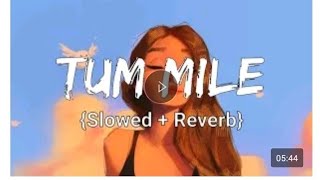 Tum Mile [Slowed Reverb] Javed Ali || Textaudio || Lyrics (8D Remix Studio)