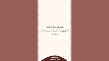تلاوة في ٣٠ ثانية سورة إبراهيم الآية ٤٥ القارئ هزاع البلوشي