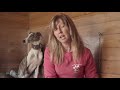 A visit to a Galgo rescue shelter の動画、YouTube動画。