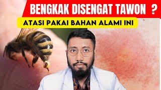 Cara Mengatasi Sengatan Tawon dengan Bahan Alami: Tips Ampuh Meredakan Bengkak & Gatal