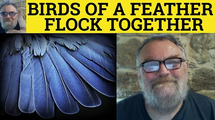 🔵 Birds of a Feather Flock Together Until the Cat Comes Meaning