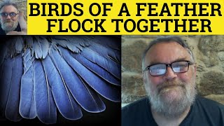 🔵 Birds of a Feather Flock Together Until the Cat Comes - English Sayings - Birds of a Feather 🔵 Birds of a Feather Flock Together Until the Cat Comes - English Sayings - Birds of a Feather