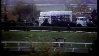 Secretariat's Last Race