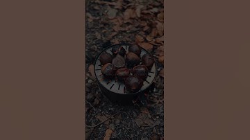 💚إنما التوبة على الله🎙️ المقرئ:رعد الكردي📖سورة النساء💫|الآية {17}|