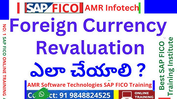 FOREIGN CURRENCY REVALUATION INTRODUCTION - Foreign Currency Configuration of Revaluation