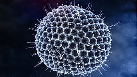 7th Std science term 1 unit 6 Health and Hygiene