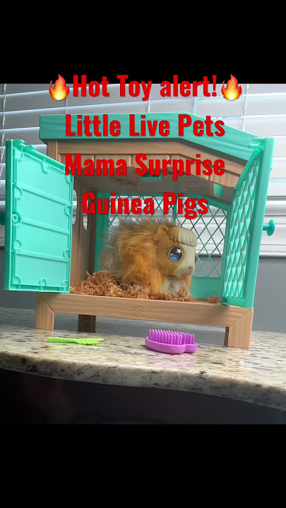 Little Live Pets Mama Surprise Guinea Pig Review - The Mummy Bubble