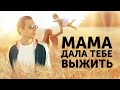 Мама дала тебе выжить | Петр Осипов Метаморфозы БМ