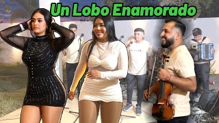 El Lobo Domesticado Mix en Vivo con La Chanchona de Morazan 