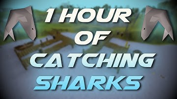 Catching Sharks | Testing OSRS Wiki Money Making Methods