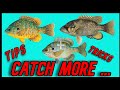 Dont watch this unless you want to catch more panfish