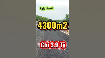 Đất Dầu Tiếng I Bán gấp lô đất Ngộp 4300m2 ( Tc 300) giá rẻ #datdautieng