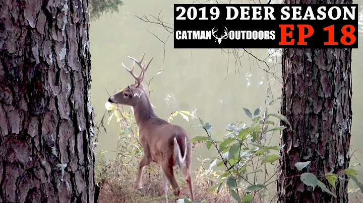 8 Point Buck Takes a Canoe Ride! The Soot Stick Speaks - 2019 Deer Season, Ep. 18