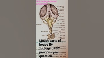 IAS zoology optional previous year question self study IAS mains zoology optional preparation