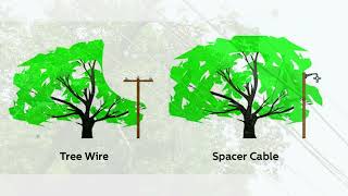 Episode 2 | Why Transmission Spacer Cable Objectives, Design & Real-World Impact