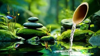 Zen Garden Fountain | Shishi Odoshi Relaxation with Soothing Sounds