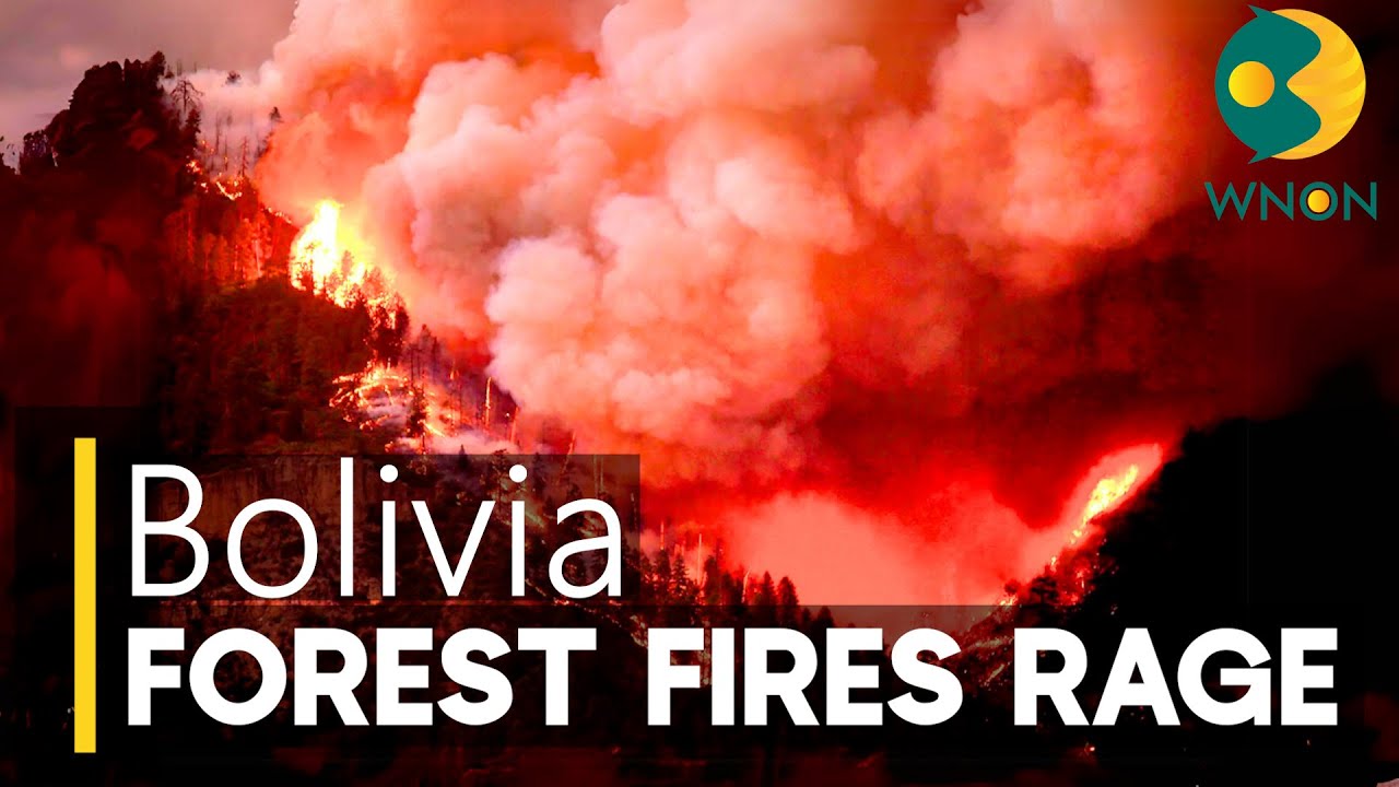 Bolivia Forest Fire International Aid Efforts in Response to Wildfires in North Bolivia | WNON
