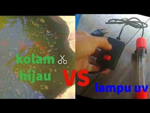 Video: Lampu UV Untuk Kolam: Pro Dan Kontra Dari Pemasangan UV, Memilih Lampu Kuman Submersible Untuk Membersihkan Kolam