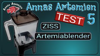 Alternative zu JBL Artemio AufzuchtSet: Ziss Artemiablender  Langzeittest und  so wird er perfekt