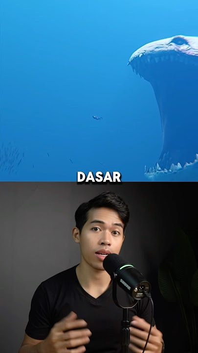 Inilah Suara misterius di laut