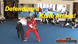Knife Defense Seminar - Hwa Rang Do® Grandmaster Taejoon Lee