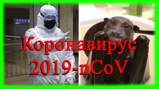 Коронавирус 2020 Начало эпидемии. Истоки коронавирус 2019-nCoV. Первая смерть.