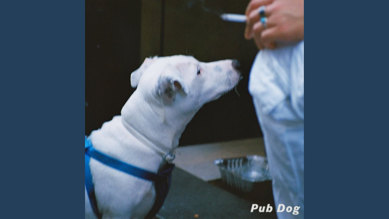 Watch Pub Dog on YouTube Watch Pub Dog on YouTube