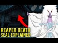 Death Reaper Seal EXPLAINED!