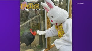 Zoo Boise to host 'Easter EGGstravaganza' on Saturday