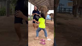 แม่หญิงแกล้งเด็กๆ🤣🤣🤣Mother Teases Children #มาแรง #ช้างแสนรู้