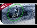 Unexpected Things You WON'T Believe Were Caught On Tape