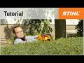 Cordless hedge trimmer cutting technique: horizontal cutting with a STIHL HSA 86