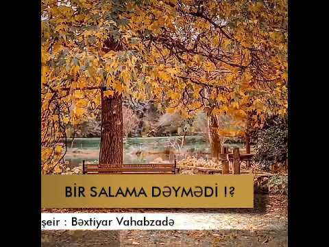 Bəxtiyar Vahabzadə-Bir Salama Dəymədi...