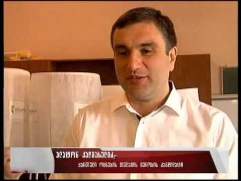 კოალიცია \'ქართული ოცნების\' კანდიდატები