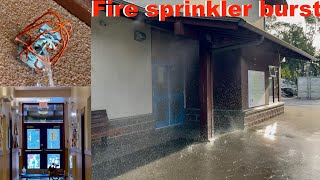 Fire sprinkler bursts setting off fire alarm system at a school after pipes freeze