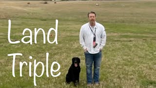 Retriever Training: Land Triple