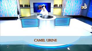 Benefits of Camel Urine - Sheikh Assim Al Hakeem