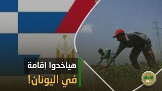 5000 عامل من مصر هيسافروا اليونان! الحكومة هتبعتهم لهذا السبب وهيقعدوا هناك 9 شهور: شوف موقفك إيه