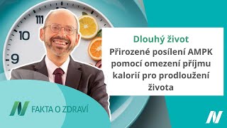 Přirozené posílení AMPK pomocí omezení příjmu kalorií pro prodloužení života