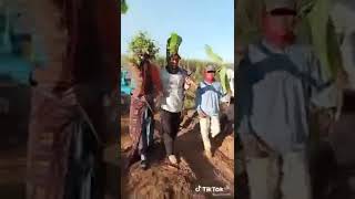 penganten unik di situbondo petani tebu🤣😂😅...!!!