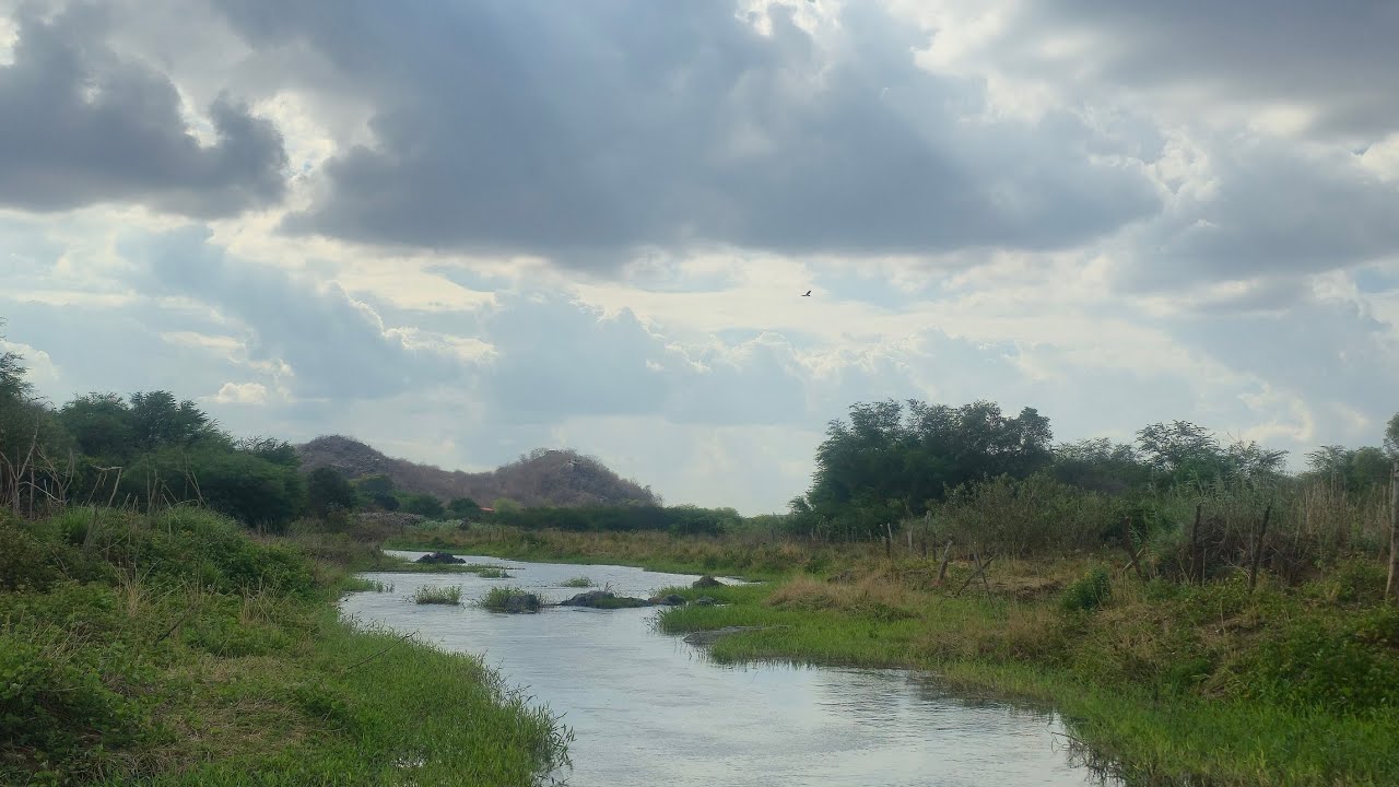 Sítio á venda em São Domingos do Cariri-PB, medindo 165 hectares, Valor R$ 590.000,00.